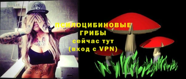 скорость Богородицк