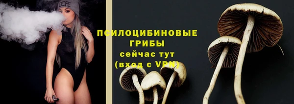 герыч Богородск