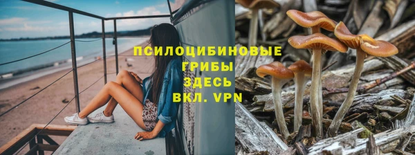 экстази Богданович