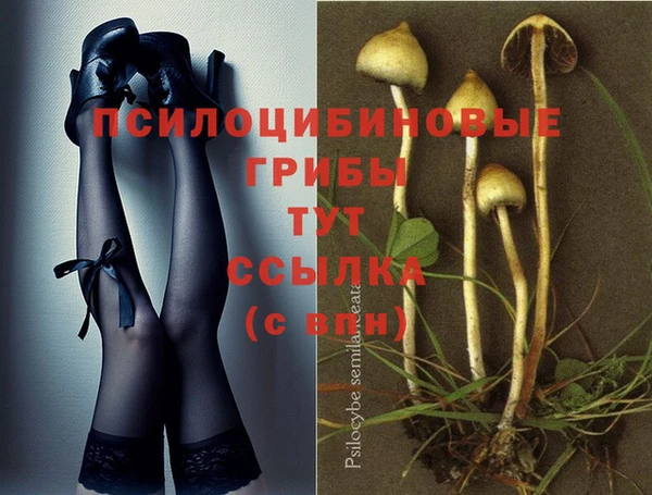 альфа пвп Россошь