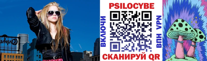 Галлюциногенные грибы Psilocybine cubensis  купить   гидра сайт  Волжск 